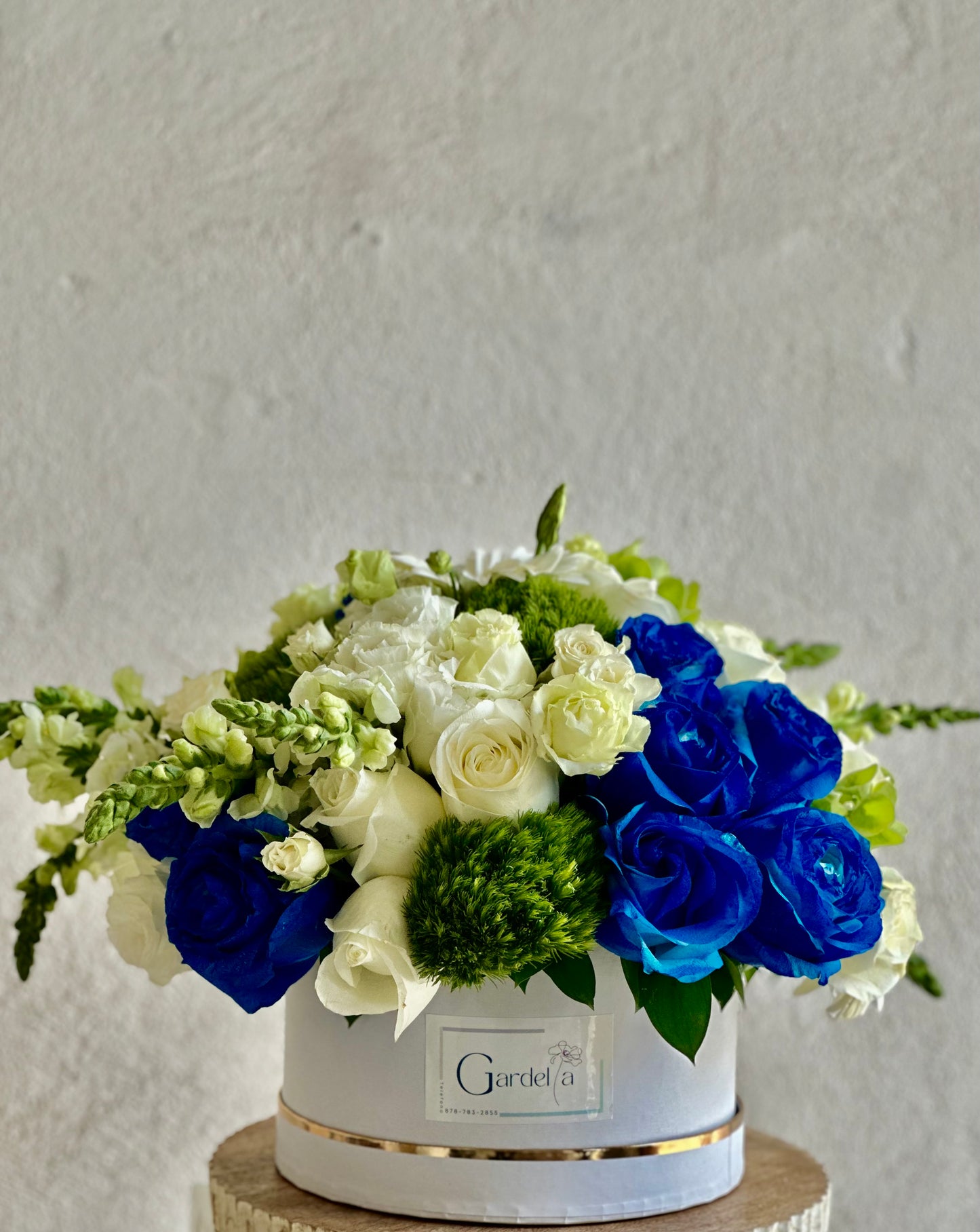 Caja Verde, Blanco & Azul